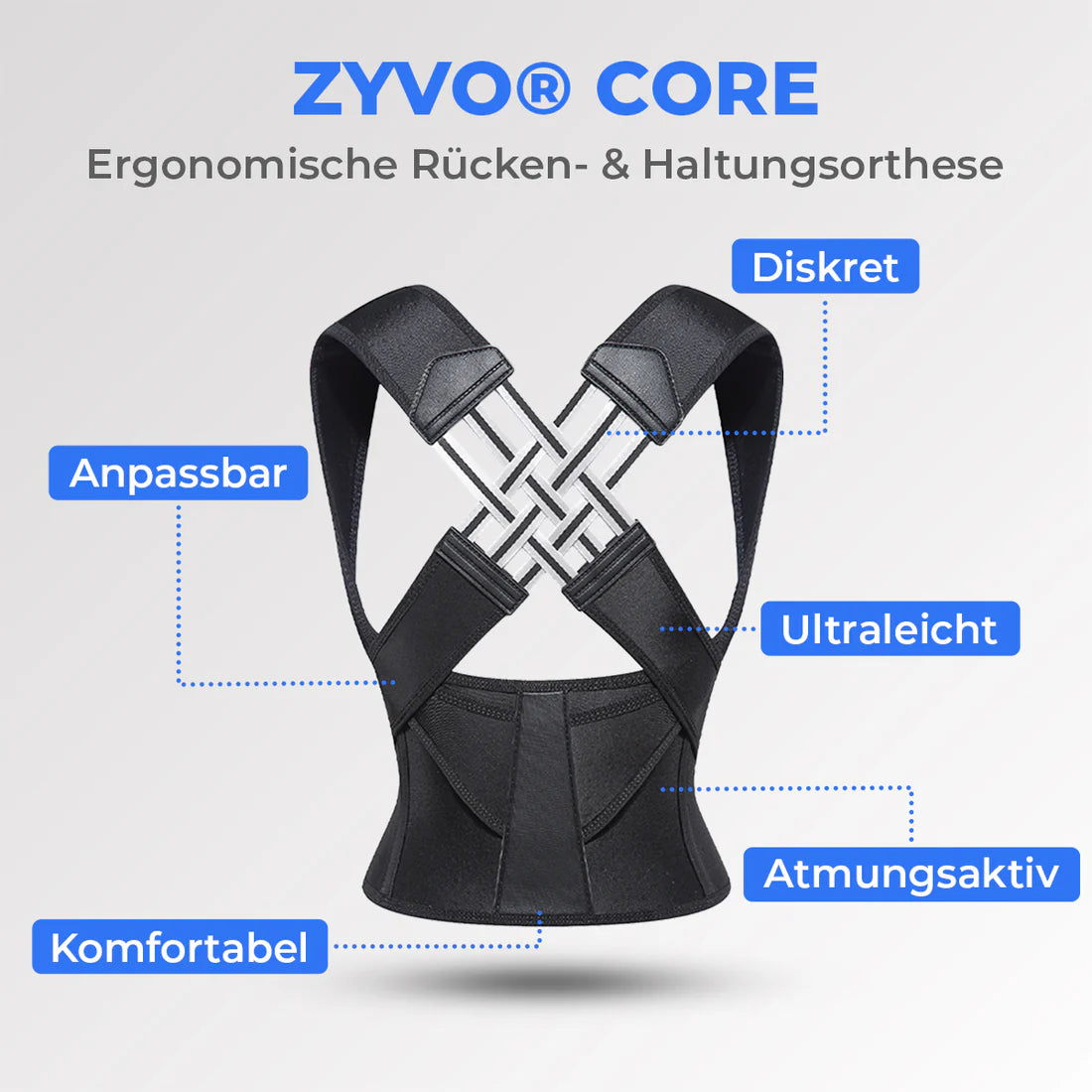 ERGOVO® Core Rückengurt